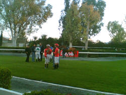 Race meetings are organised by the Nicosia Race Club, which is a non-profit making organisation. They are held at the Nicosia Racecourse and at these mainly thoroughbred horses compete. 