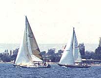 winter sailing in Larnaca bay cyprus.JPG (10205 bytes)